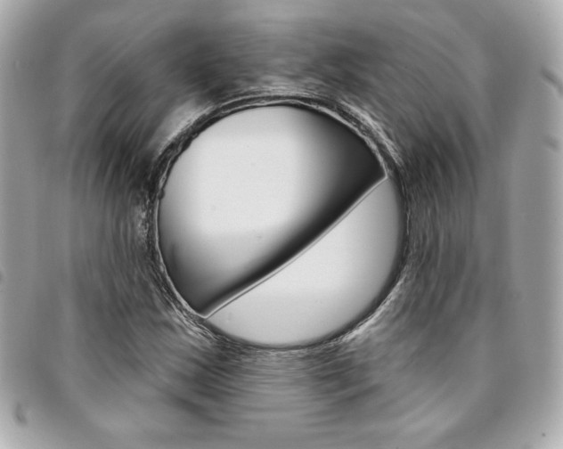 X0000095511163200712140928