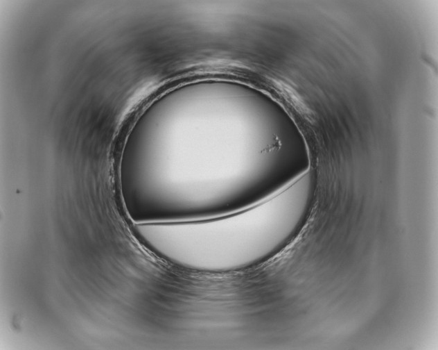 X0000095511164200712140928