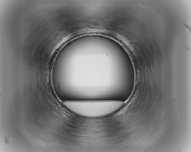 X0000095511165200712140928