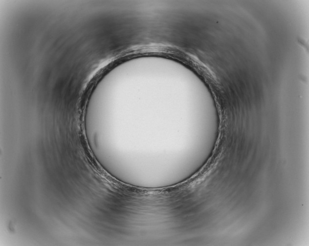 X0000095511166200712140928