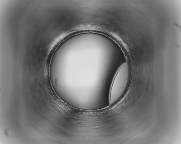 X0000095511167200712140928