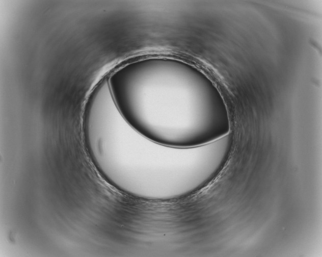 X0000095511168200712140928