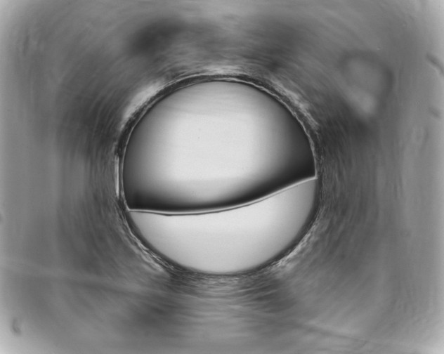 X0000095511171200712140928