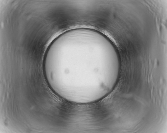 X0000095511173200712140928