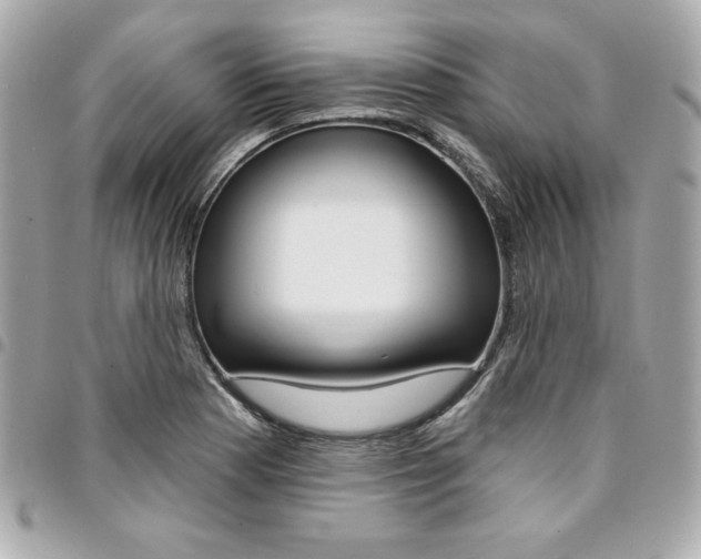 X0000095511177200712140928