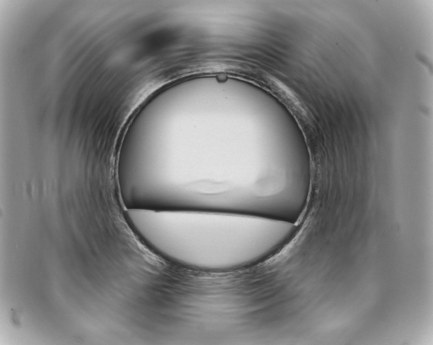 X0000095511178200712140928