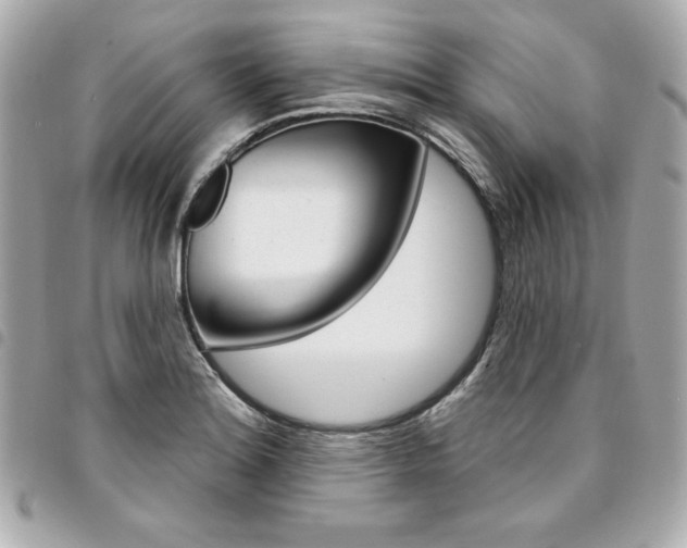 X0000095511180200712140928