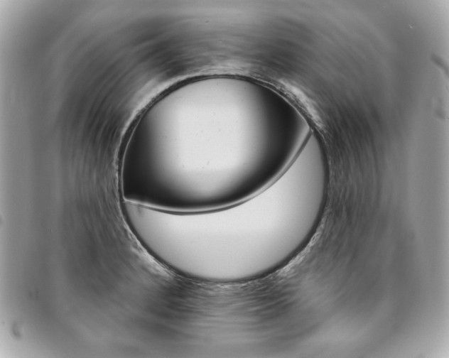 X0000095511184200712140928