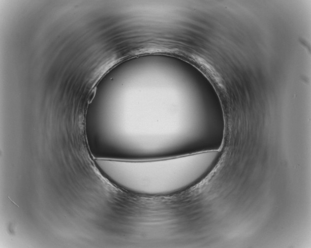 X0000095511185200712140928