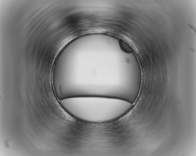 X0000095511186200712140928