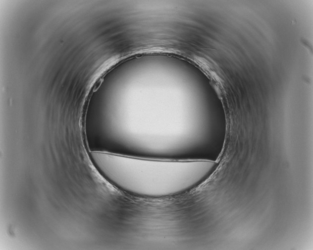 X0000095511189200712140927