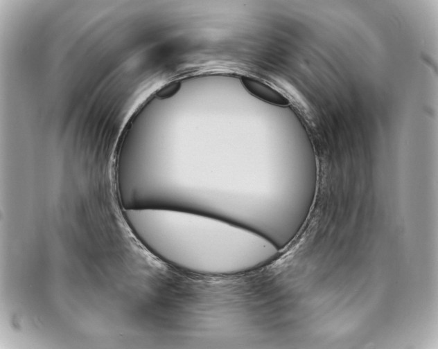 X0000095511190200712140927