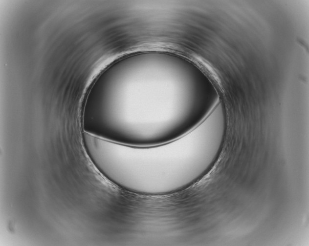 X0000095511192200712140927