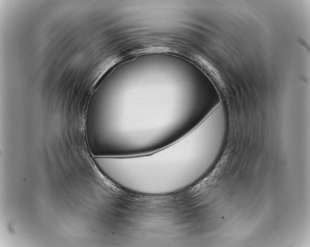 X0000095511193200712140927