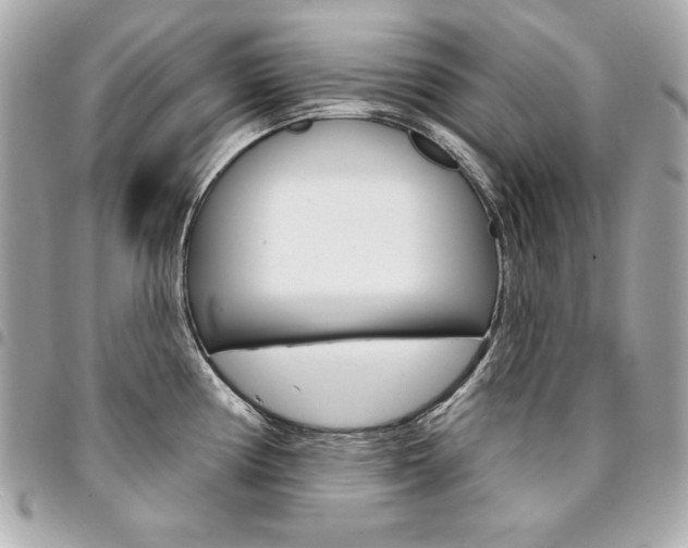 X0000095511194200712140927
