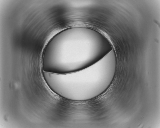X0000095511195200712140927