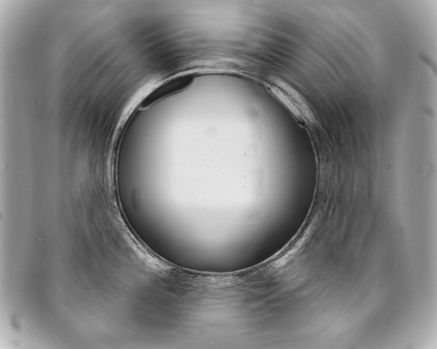 X0000095511196200712140927