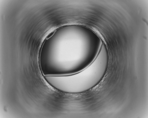 X0000095511197200712140927