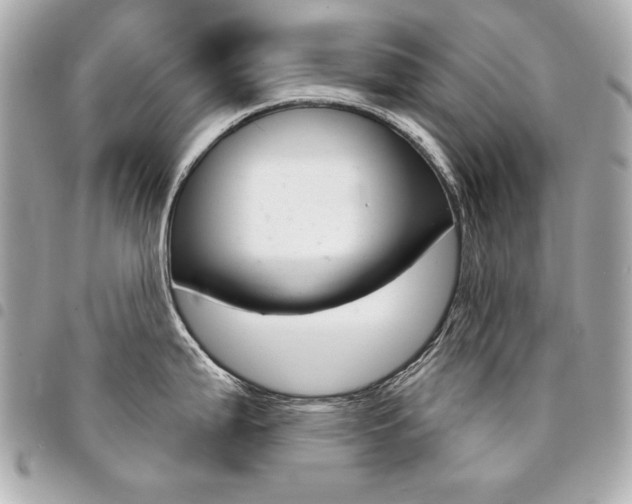 X0000095511199200712140927