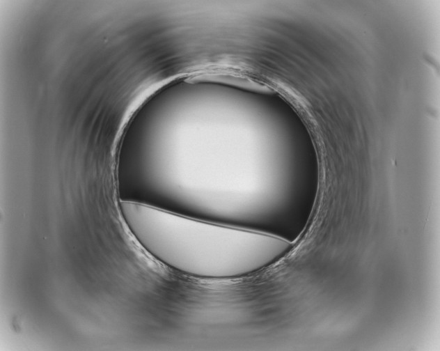 X0000095511200200712140927