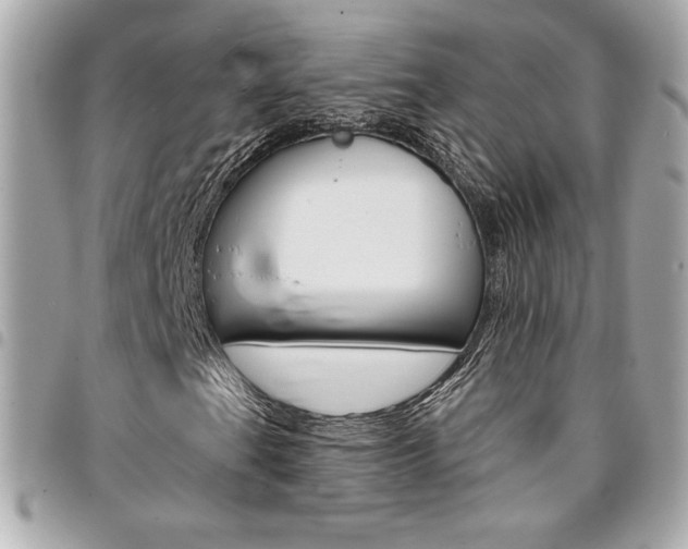 X0000095511201200712140927