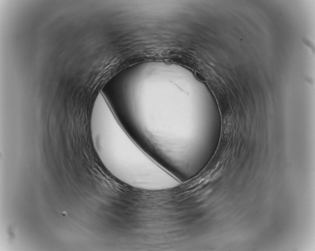 X0000095511202200712140927