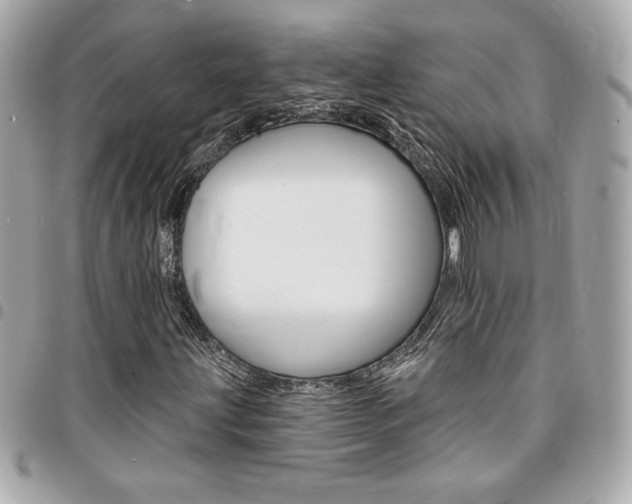 X0000095511203200712140927