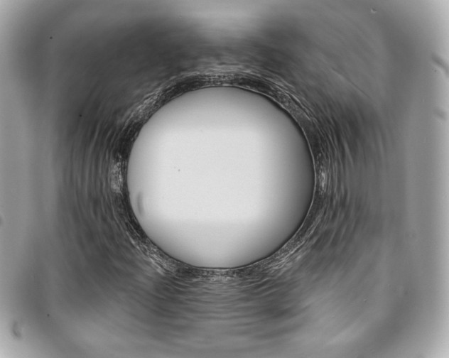 X0000095511204200712140927