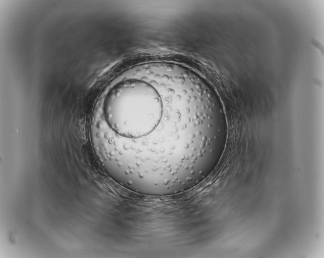 X0000095511205200712140927