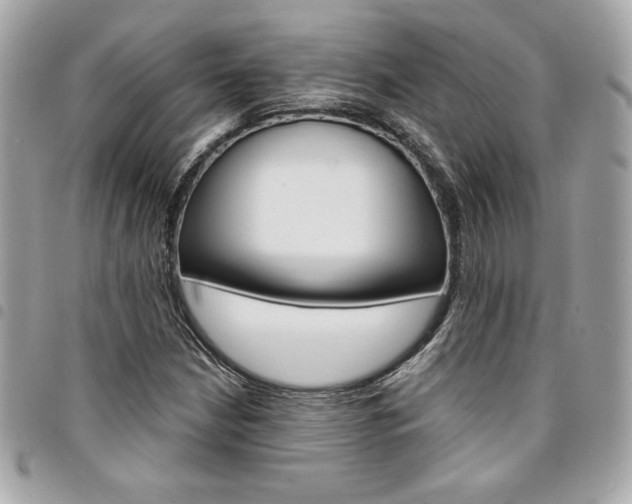 X0000095511210200712140927