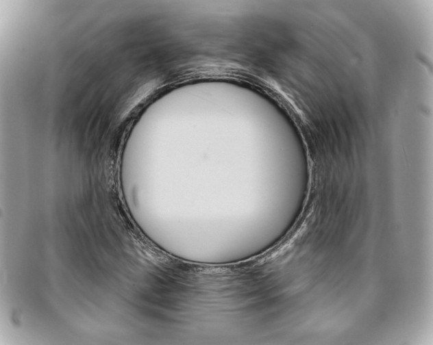 X0000095511211200712140927