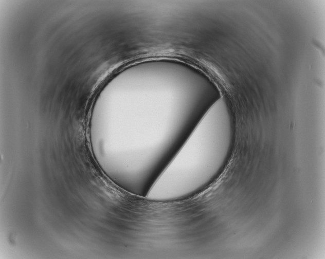 X0000095511212200712140927