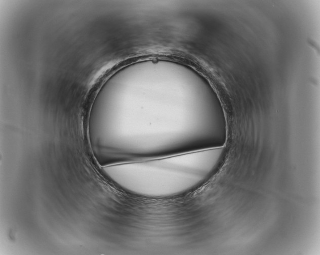 X0000095511214200712140927