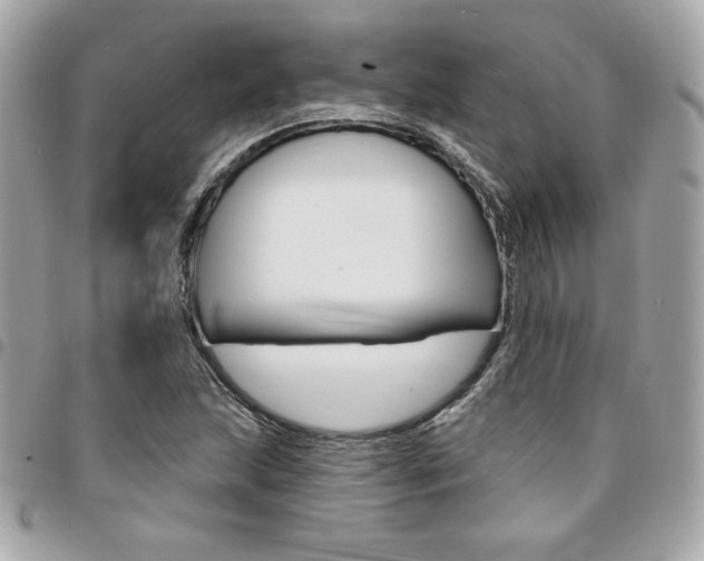 X0000095511215200712140927