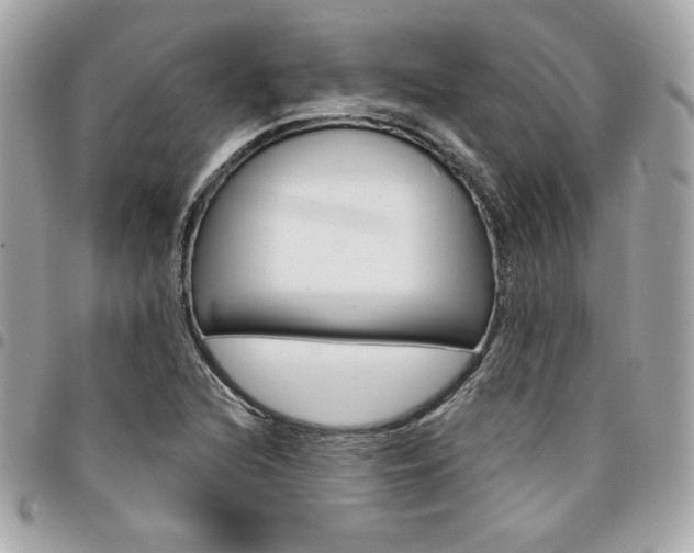 X0000095511216200712140927