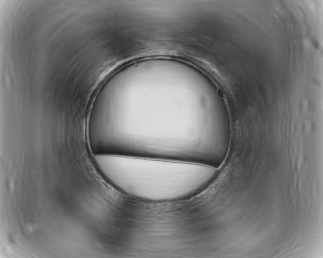 X0000095511220200712140927