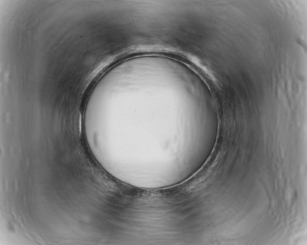 X0000095511221200712140927