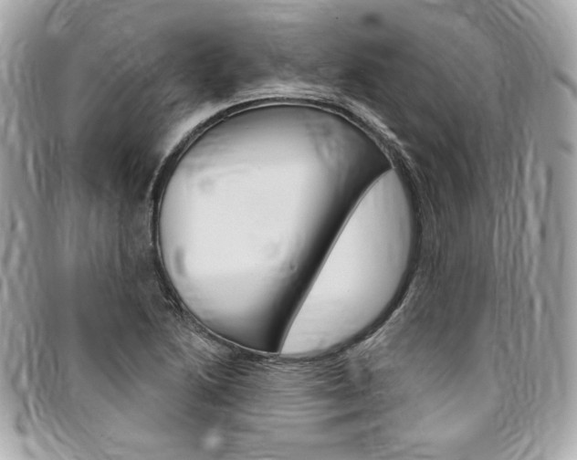X0000095511222200712140927
