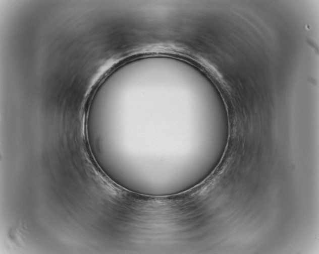 X0000095511224200712140927