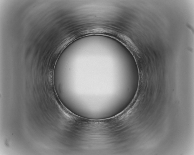 X0000095511225200712140927
