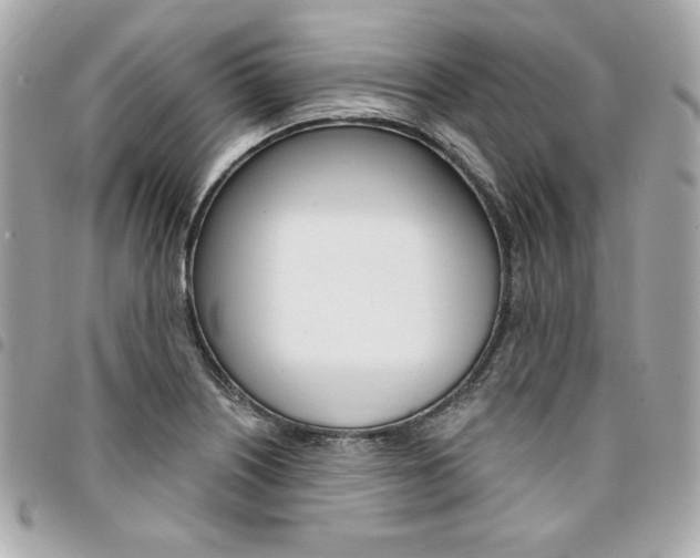 X0000095511226200712140927