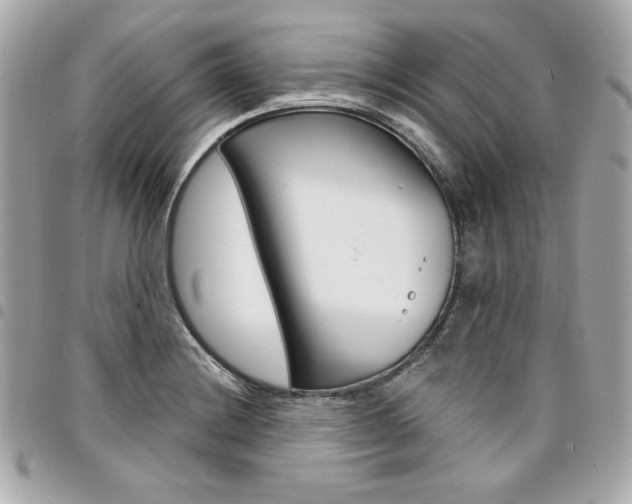 X0000095511228200712140927
