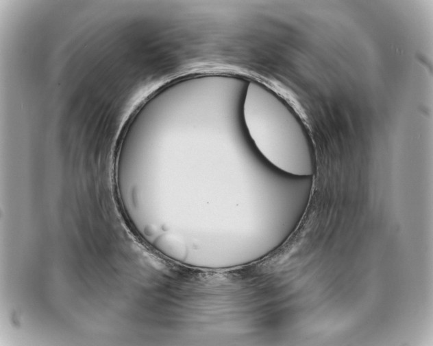 X0000095511231200712140927