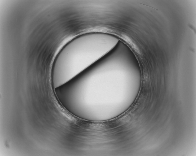 X0000095511232200712140927