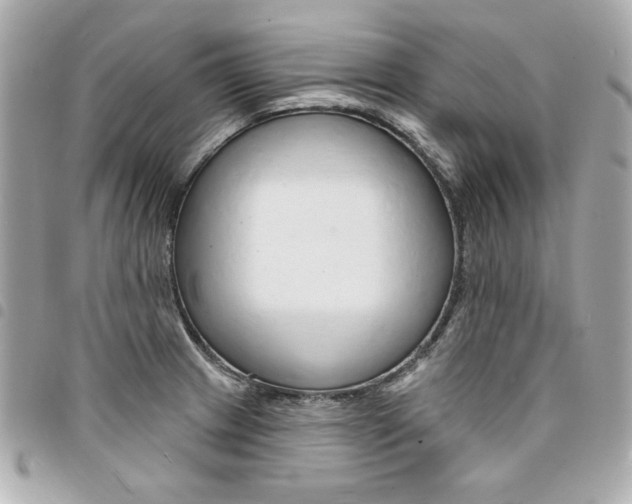 X0000095511233200712140927