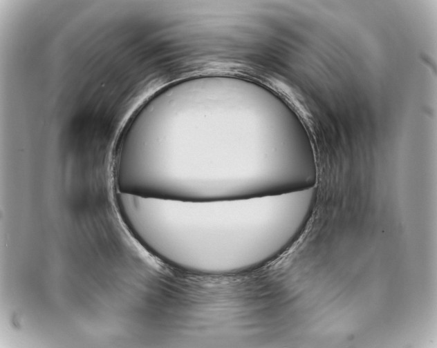 X0000095511235200712140927