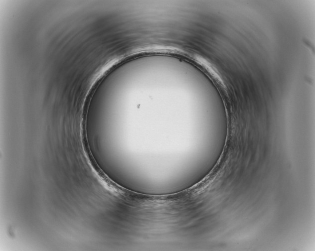 X0000095511237200712140927