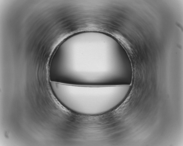 X0000095511238200712140927
