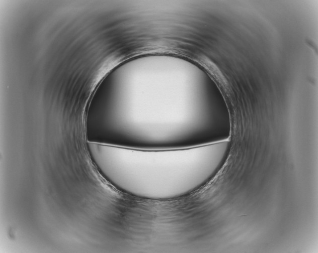X0000095511242200712140927