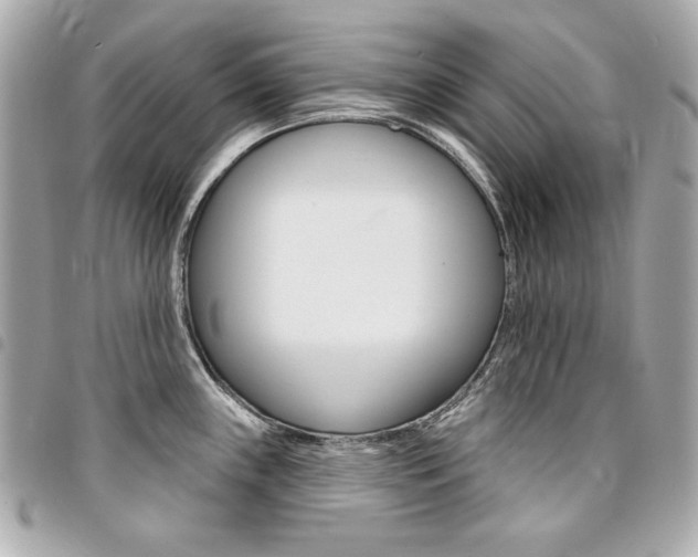 X0000095511243200712140927
